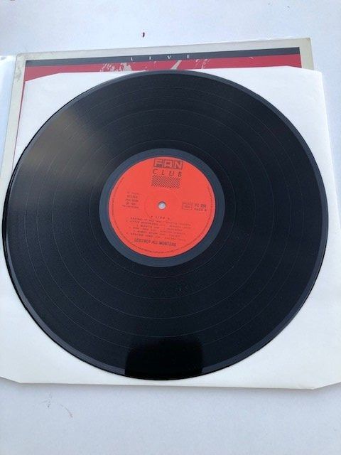 Dischi in vinile: Destroy All Monsters – Usato da Aarwangen venduto da Jukebox3 4