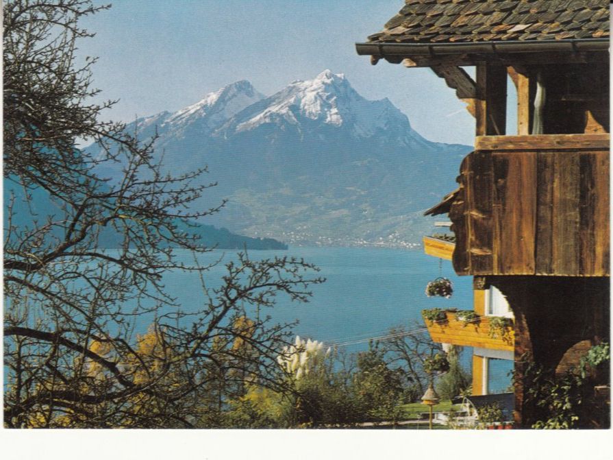 Cartes postales: Weggis ca. 1970 – D'occasion à Bürglen TG par StampGraf