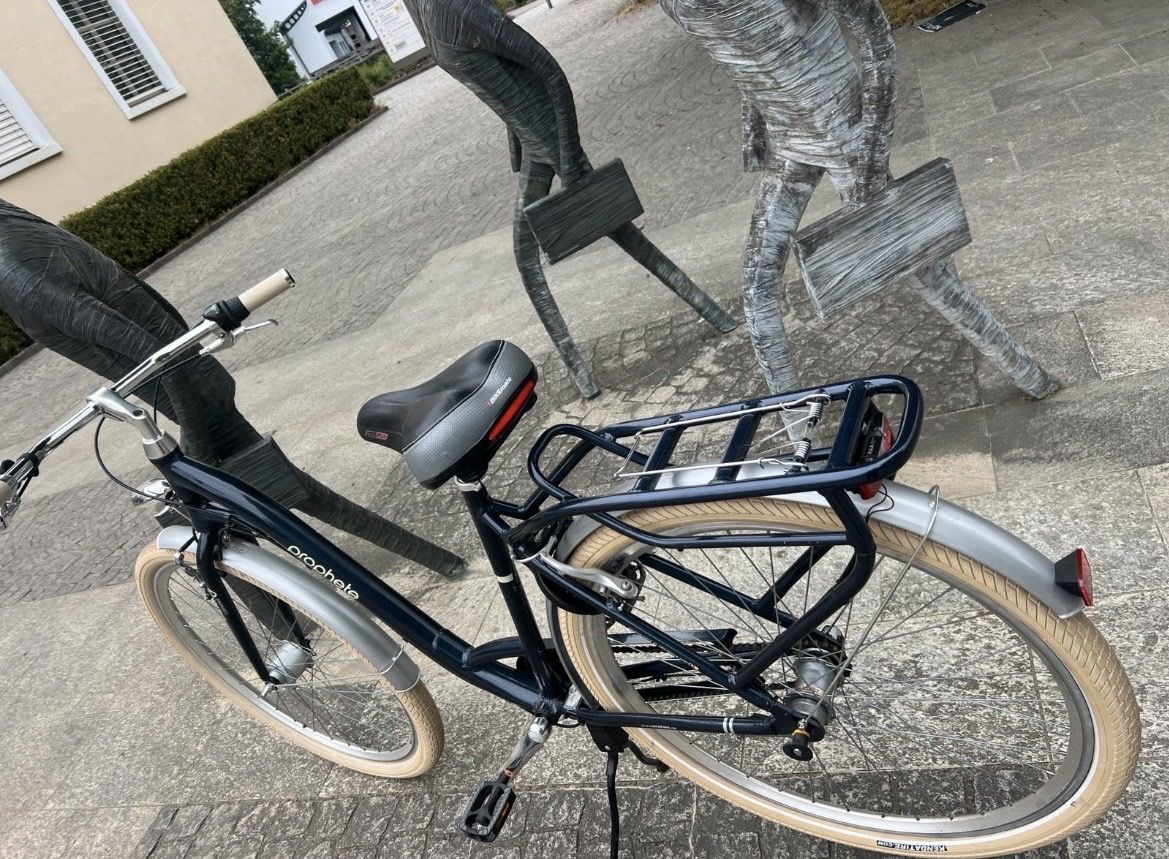 Biciclette: Damen Fahrrad – Usato da Rheinfelden venduto da dan_9ykr 1