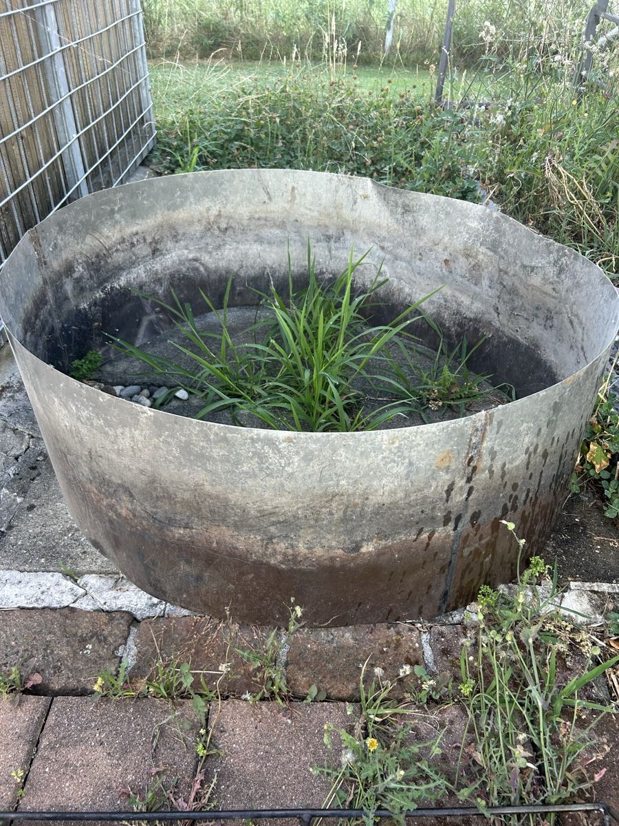 Grils: Grillstelle Edelstahl Gartengrill – D'occasion à Oberriet SG par Justizia1957 2