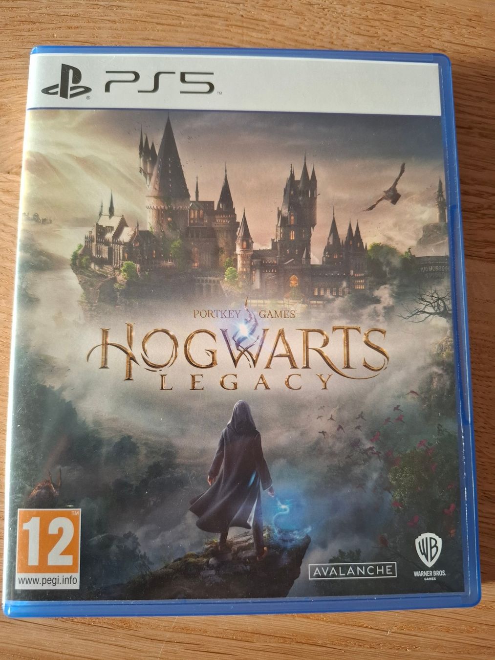 Giochi: Hogwarts Legacy PS5 inkl Hogsmeade Quest – Usato da Aesch LU venduto da Koroyosh8