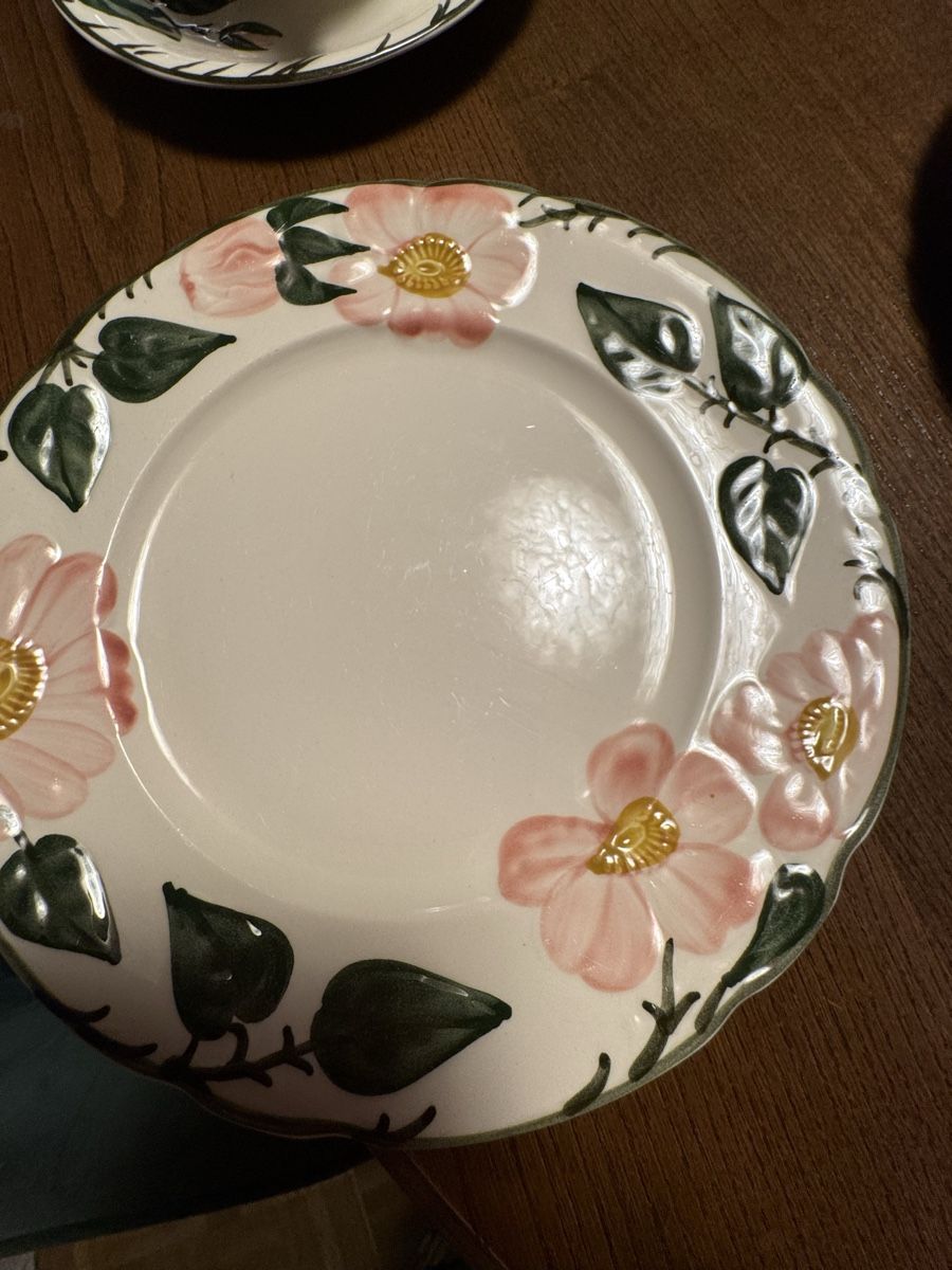 Geschirrsets: Villeroy & Boch Wildrose – Gebraucht aus Altnau von Charlie100 3