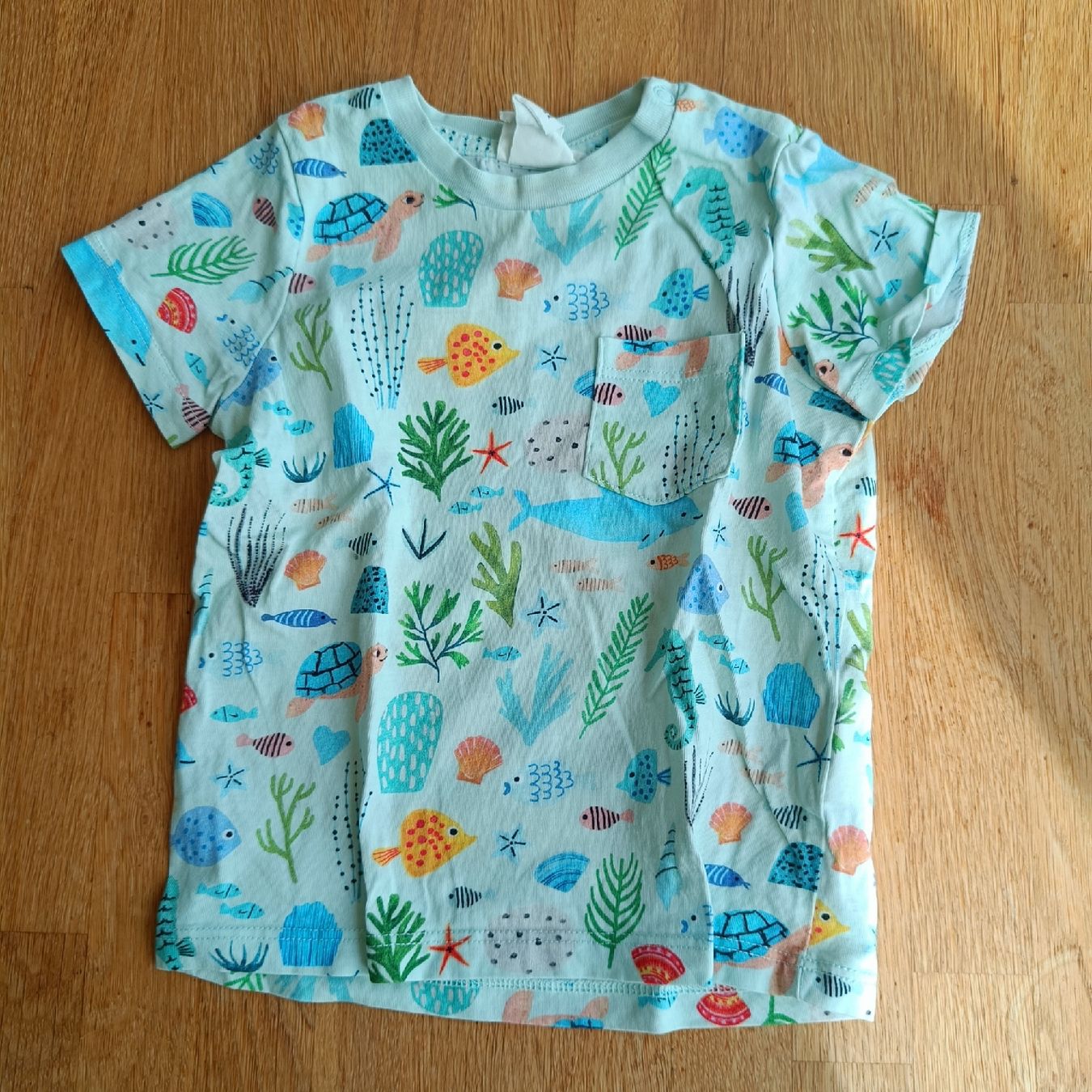 Camicie, Top & T-shirt: T- Shirt Grösse 74 – Usato da Jaberg venduto da urig17.