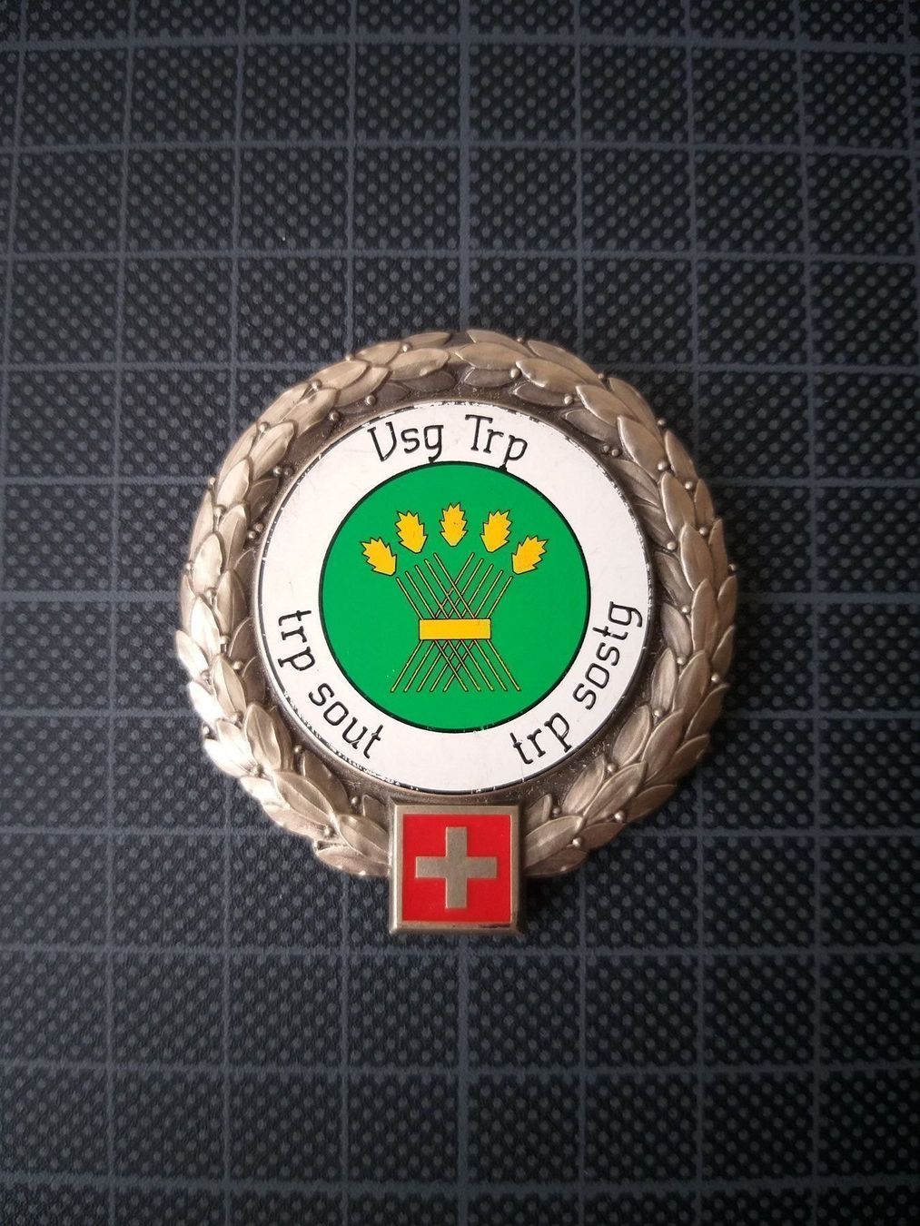 Placchette & Badge: Béretemblem Versorgungstruppen – Usato da Bauma venduto da SwissMilitaria