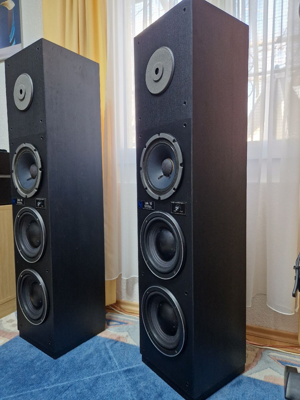 Electro-voice Casse acustiche: Elektro Voice Link 10 – Usato da Arbon venduto da Mayak_Sound 5