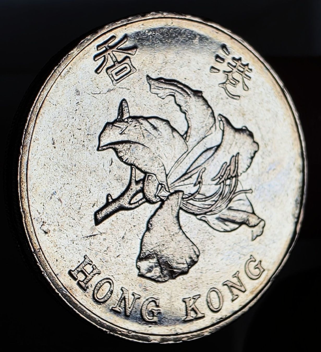 Tutti le monete: HONG KONG 5 DOLLARS 2013 – Usato da winterthur venduto da CoinPassion