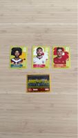 Fussball Sammelkarten Panini WM 2026! 