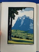 Rother - Berner Oberland. Ansichten und Holzschnitte 1924