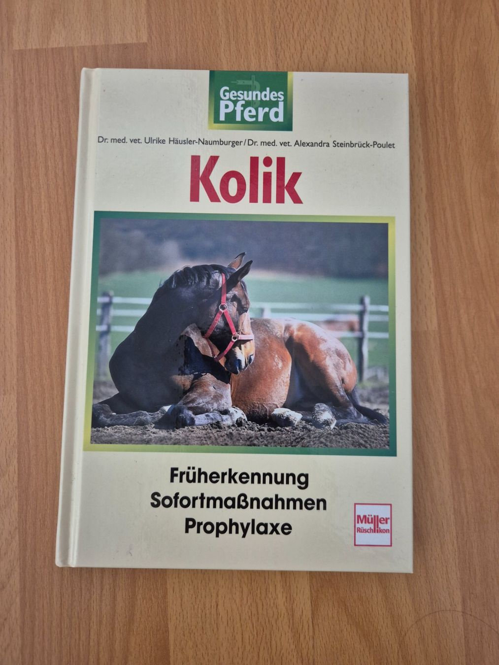 Zaumzeug & Halfter: Pferdefachbuch – Neu (gemäss Beschreibung) aus Meggen von Orrinka20