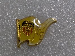 Ansteckpin 253: FC Valencia