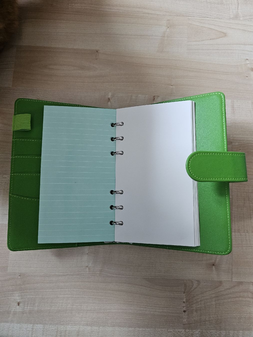 Bücher: A 6 neuer Organizer  – Neu (gemäss Beschreibung) aus Büttikon AG von PAM120319 2
