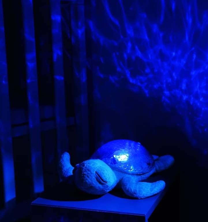 Spielzeuge: Einschlafhilfe Turtle/Schildkrot blau – Gebraucht aus Safenwil von RockyFlocky 1