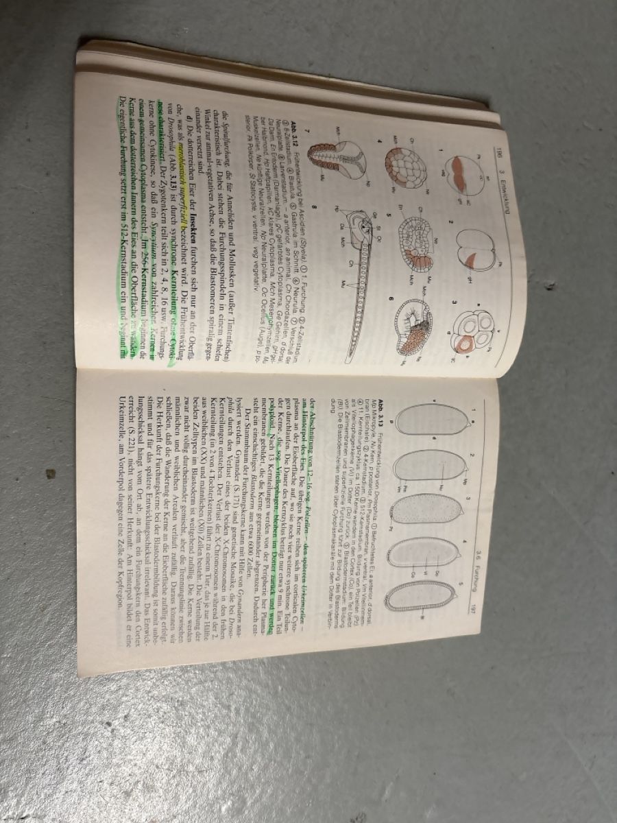 Livres: Zoologie – D'occasion à Grüt (Gossau ZH) par Fa61 2