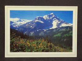 Lauenen 1259m, Geltengletscher, Spitzhorn