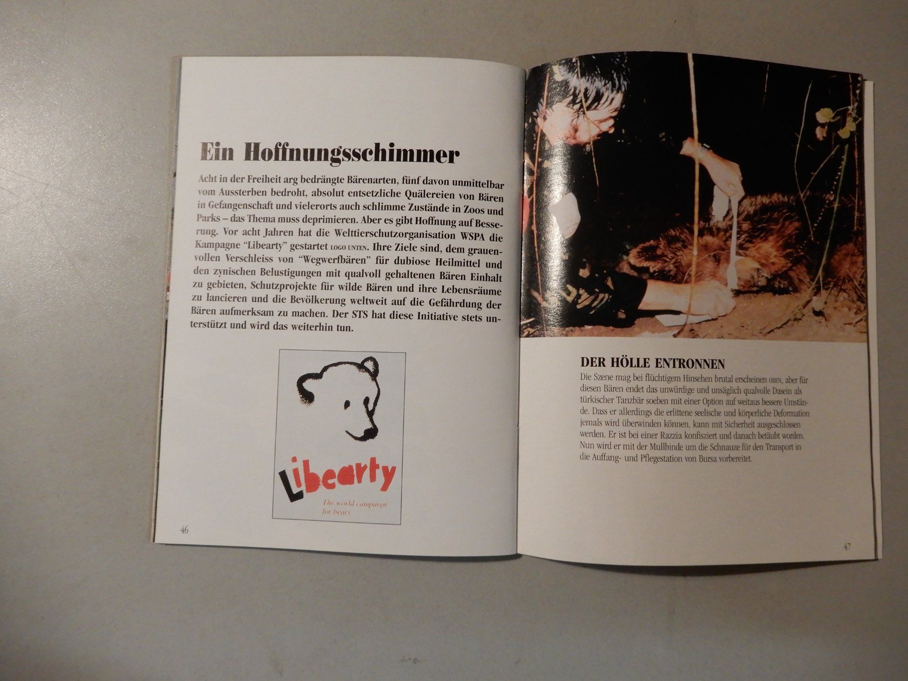 Libri: Bärenschicksal - Schweizer Tierschutz STS – Usato da Erstfeld venduto da Mario_boe0 7