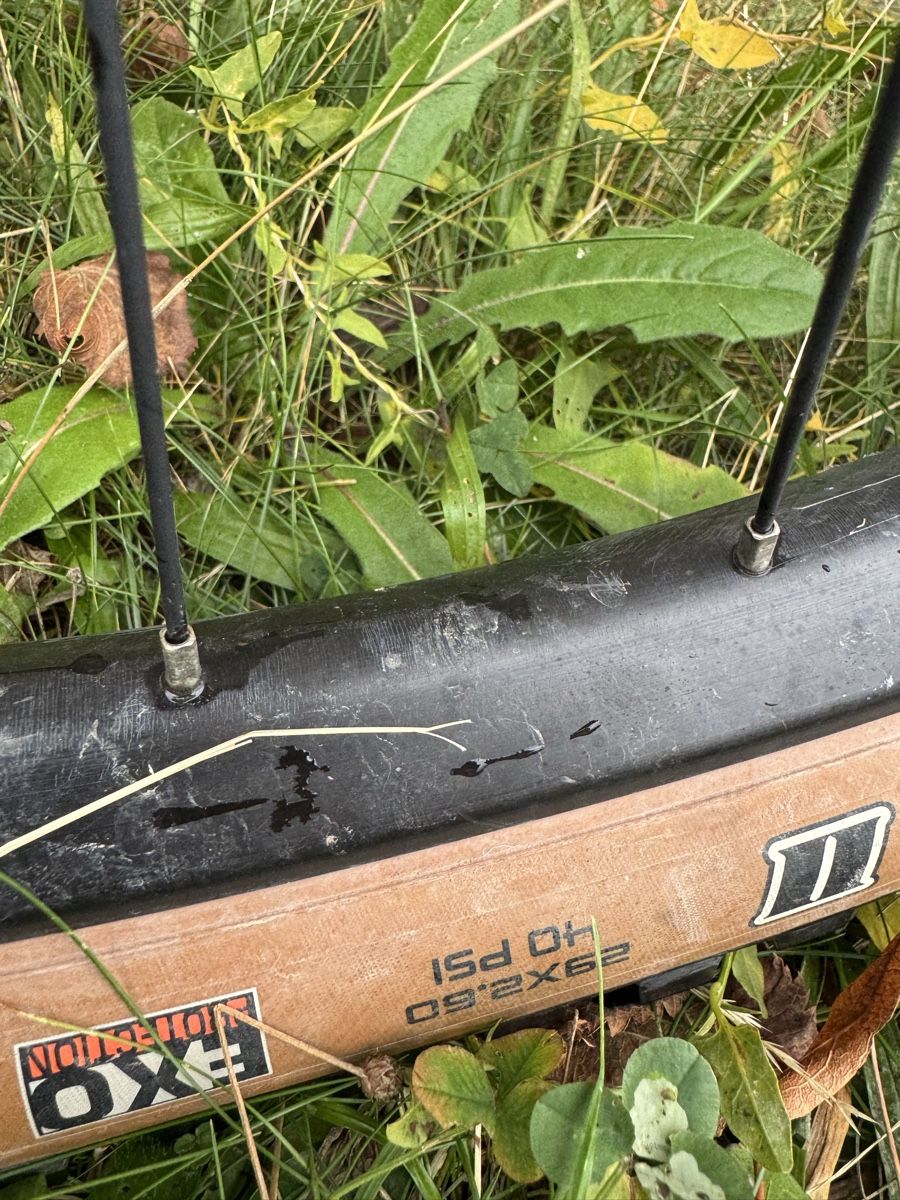 Bergamont Velos: Enduro MTB – Gebraucht aus Twann von Macar4 6