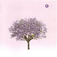 CD Eels - Tomorrow morning (2010)