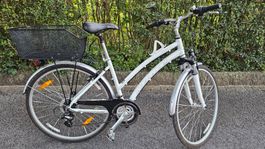 Velo Stoke Damen M