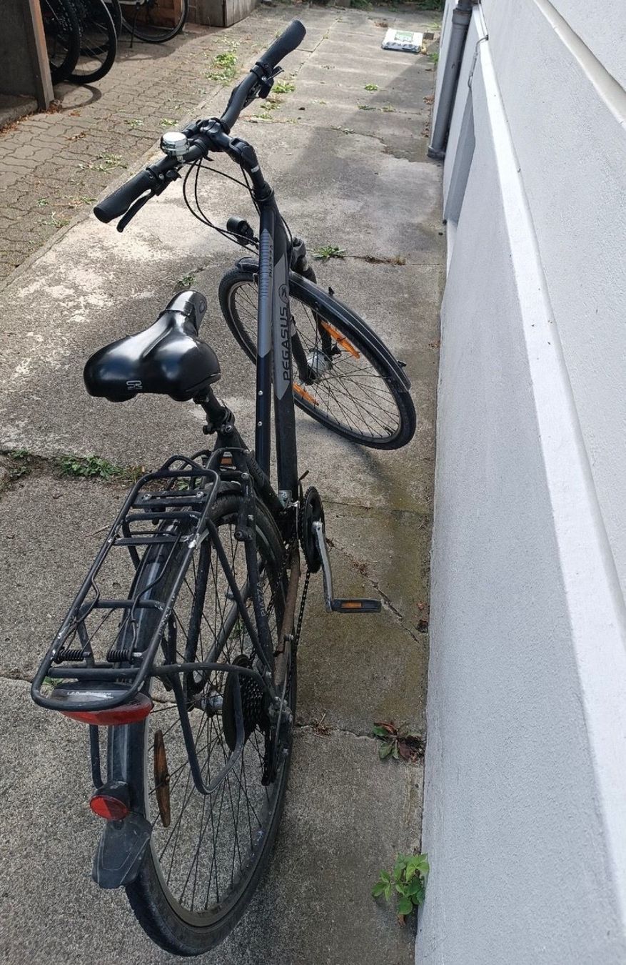 Biciclette: Pegasus Piazza Trekkingrad schwarz – Usato da Winterthur venduto da hab_w8j5 3