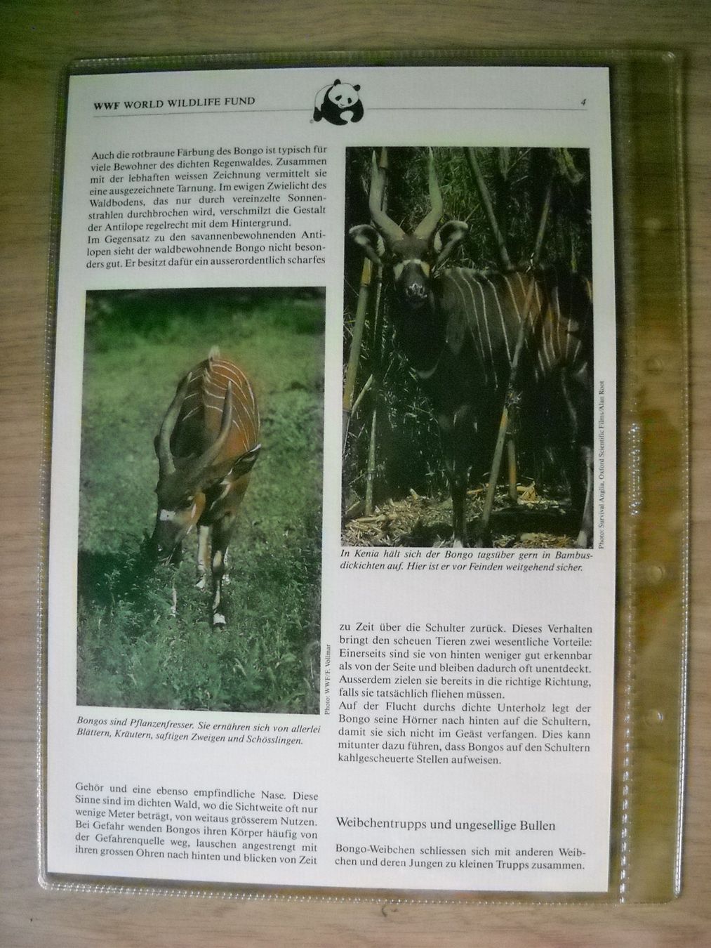 Tutti i francobolli: WWF Der Bongo Sammlung Seite mit Briefmarken – Nuovo (secondo la descrizione) da Boningen venduto da FrediP 3