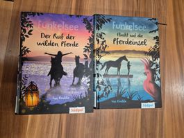 1 buch Funkelsee oder Pferdegeschichten L20