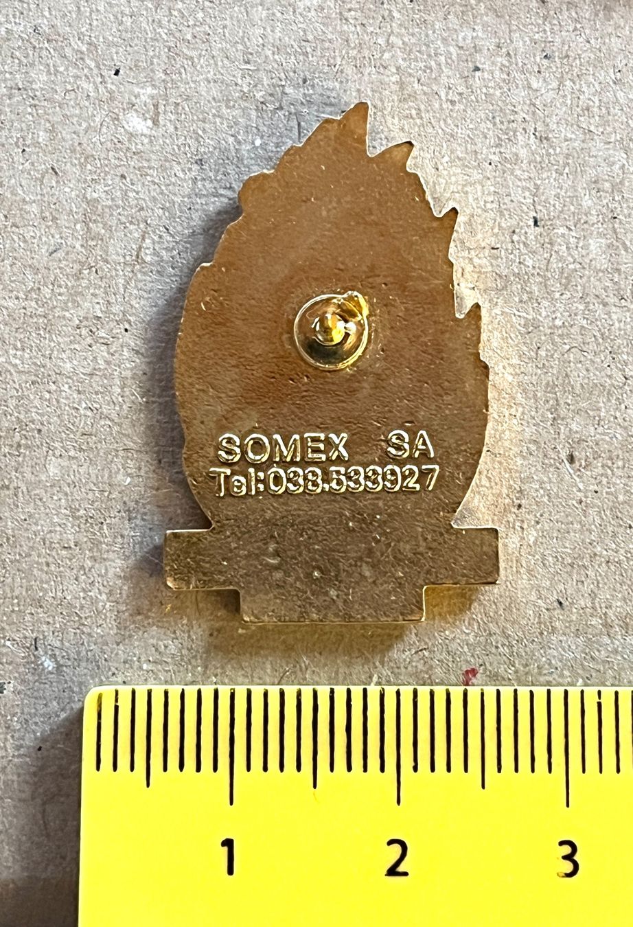 Plaketten & Abzeichen: Pin Sapeurs pompiers Cernier 🔥 – Gebraucht aus Renan BE von johncactus 1