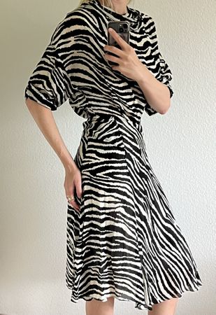 Isabel Etoile Marant Zebra Print dress, Size 36