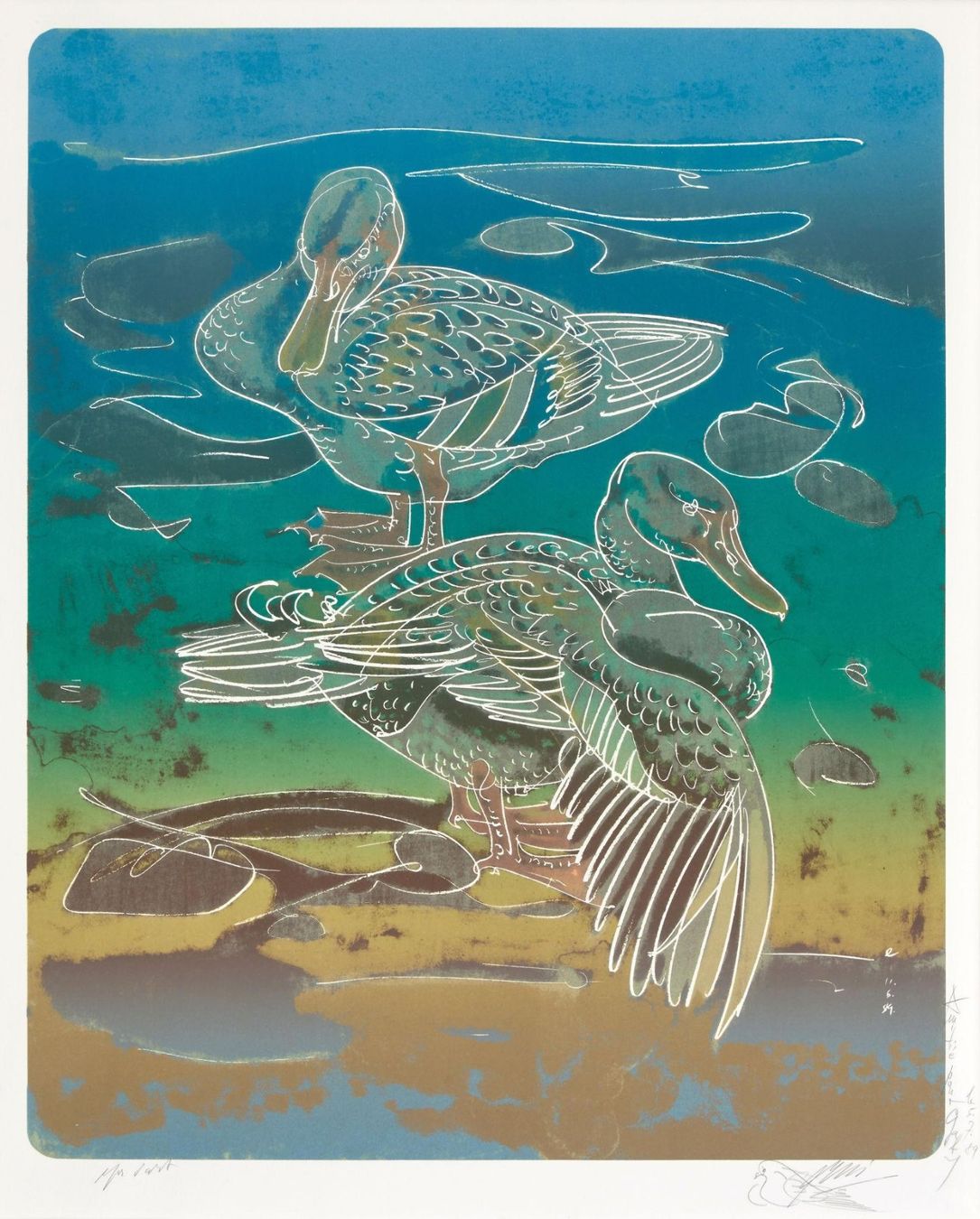 Grafica & Litografie: Erni Hans, Zwei Enten, handsigniert mit einer Taube, Litho. – Usato da Siebnen venduto da Kareno