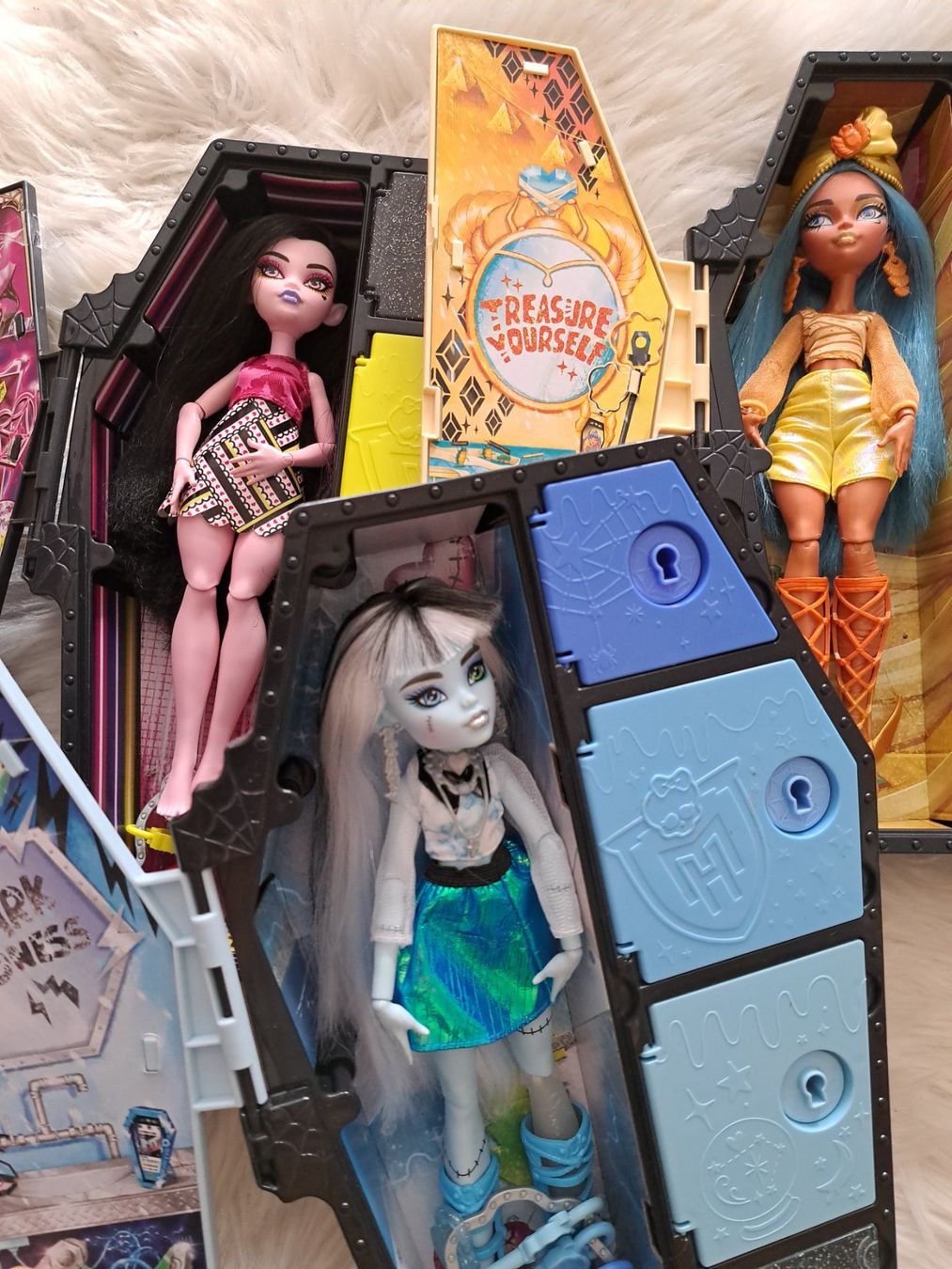 Bambole: Monster High Puppen – Usato da Saas Grund venduto da IvanaXY