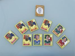 Stickers panini 