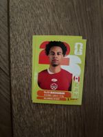 Panini Sticker CAN 17, Kanada WM 2026