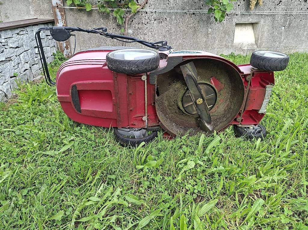 Tondeuses à gazon: Elektrischer Rasenmäher – D'occasion à Walchwil par Corani 2