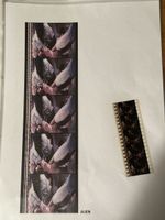 35mm Film Frames Alien Giger Sci-Fi not Sideshow selten