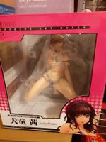 Indo Akane Manga Figur 1:5