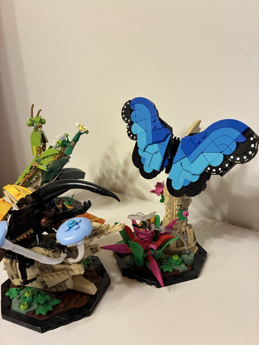 Lego Kit di costruzioni: Lego Insektensammlung 21342 – Usato da Speicher venduto da spla03 3