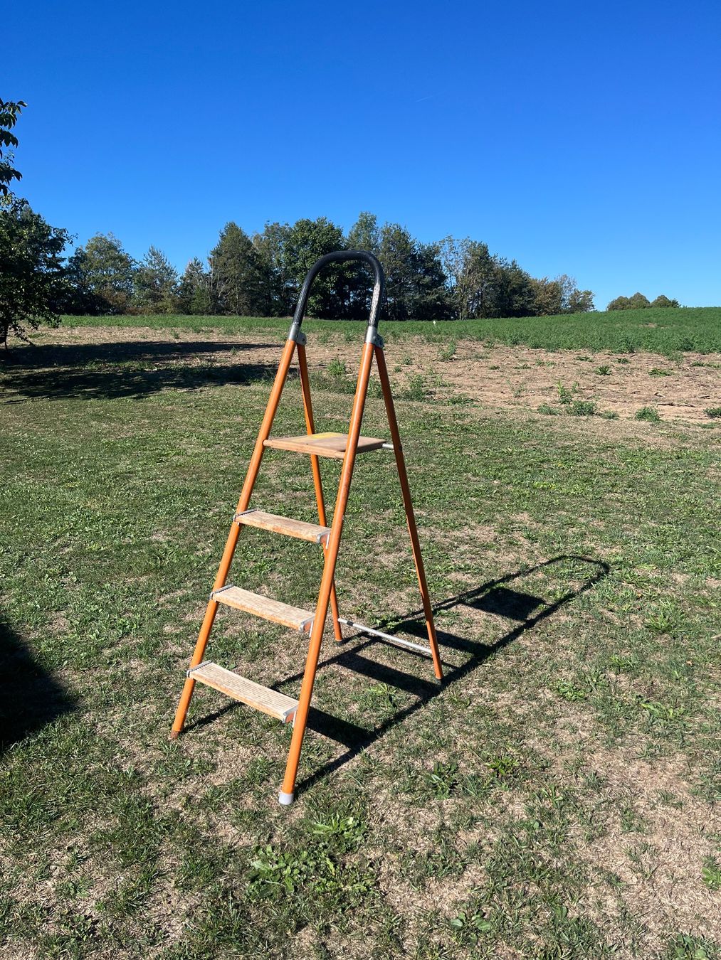 Echelles: Bockleiter – D'occasion à Allmendingen b. BE par juair 4