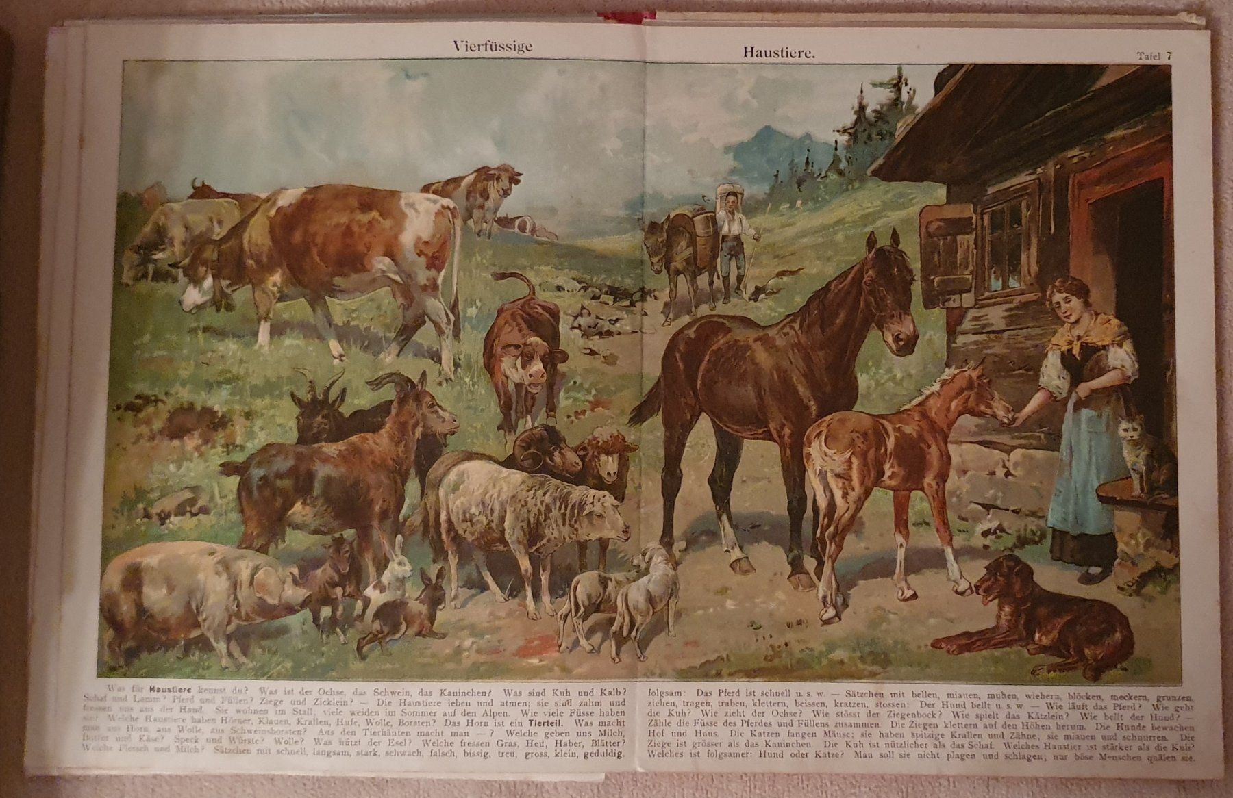 Libri: 9 alte Kinderbücher – Usato da Kreuzlingen venduto da Rschweiz1 5