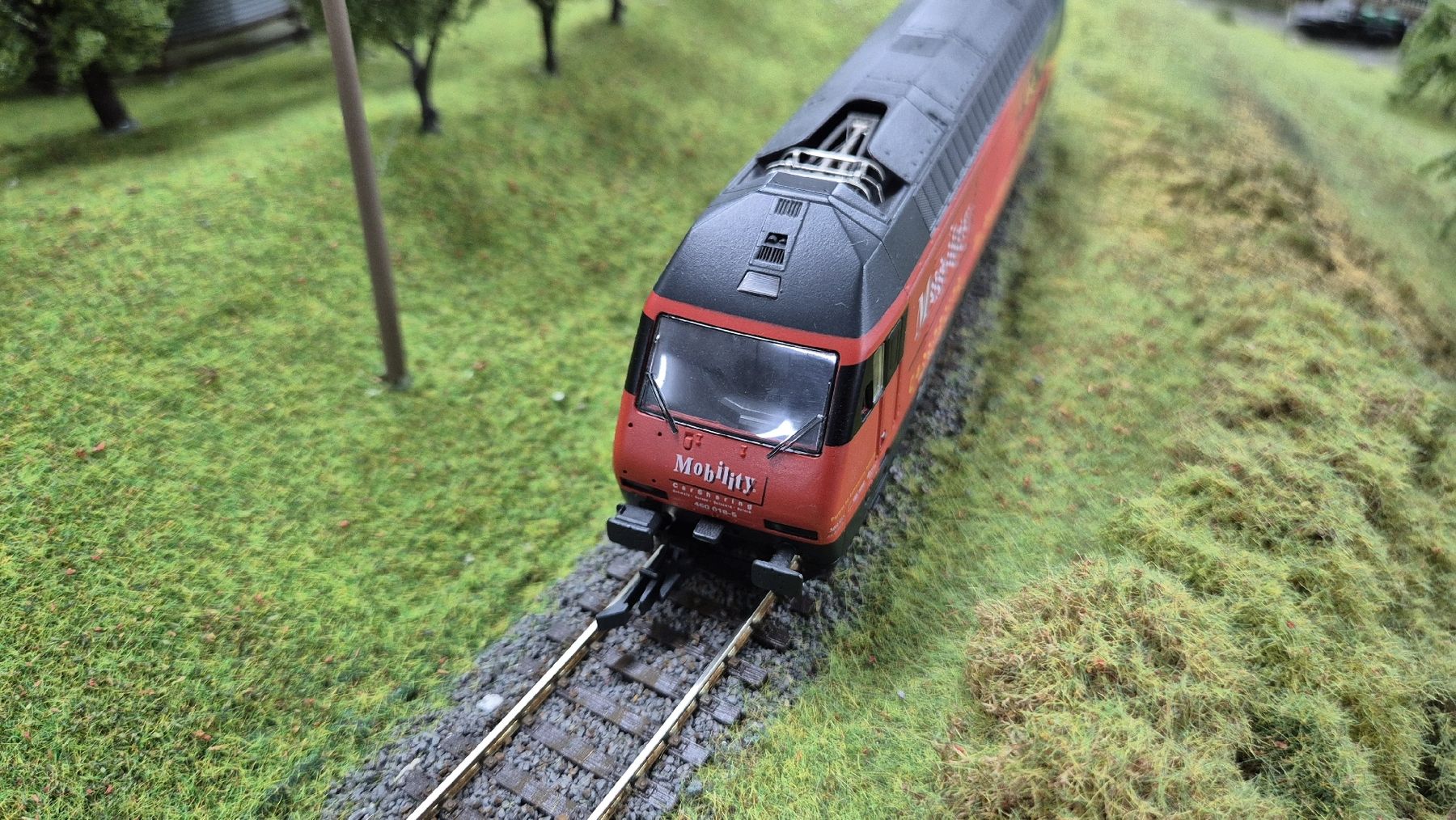 Roco Modellini di ferrovie: Roco RE 460 Mobility – Usato da Münsingen venduto da hausbootli 3