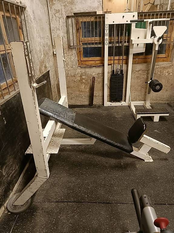 Hometrainer: GYM 80 Schrägbank – Usato da Wädenswil venduto da simon.hauser 2