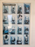 Quadro Toiletcam