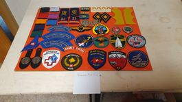 Konvolut : Diverse Abzeichen der Schweizer Armee