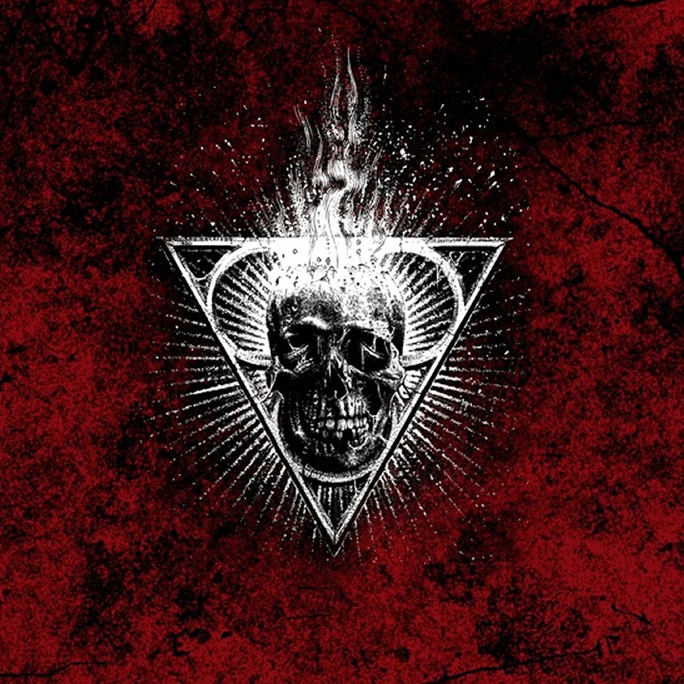 Tessuti: Panel "Imperium" Jersey 120 x 160 cm – Nuovo e nell'imballaggio originale da Wiesenberg venduto da mountain-merch