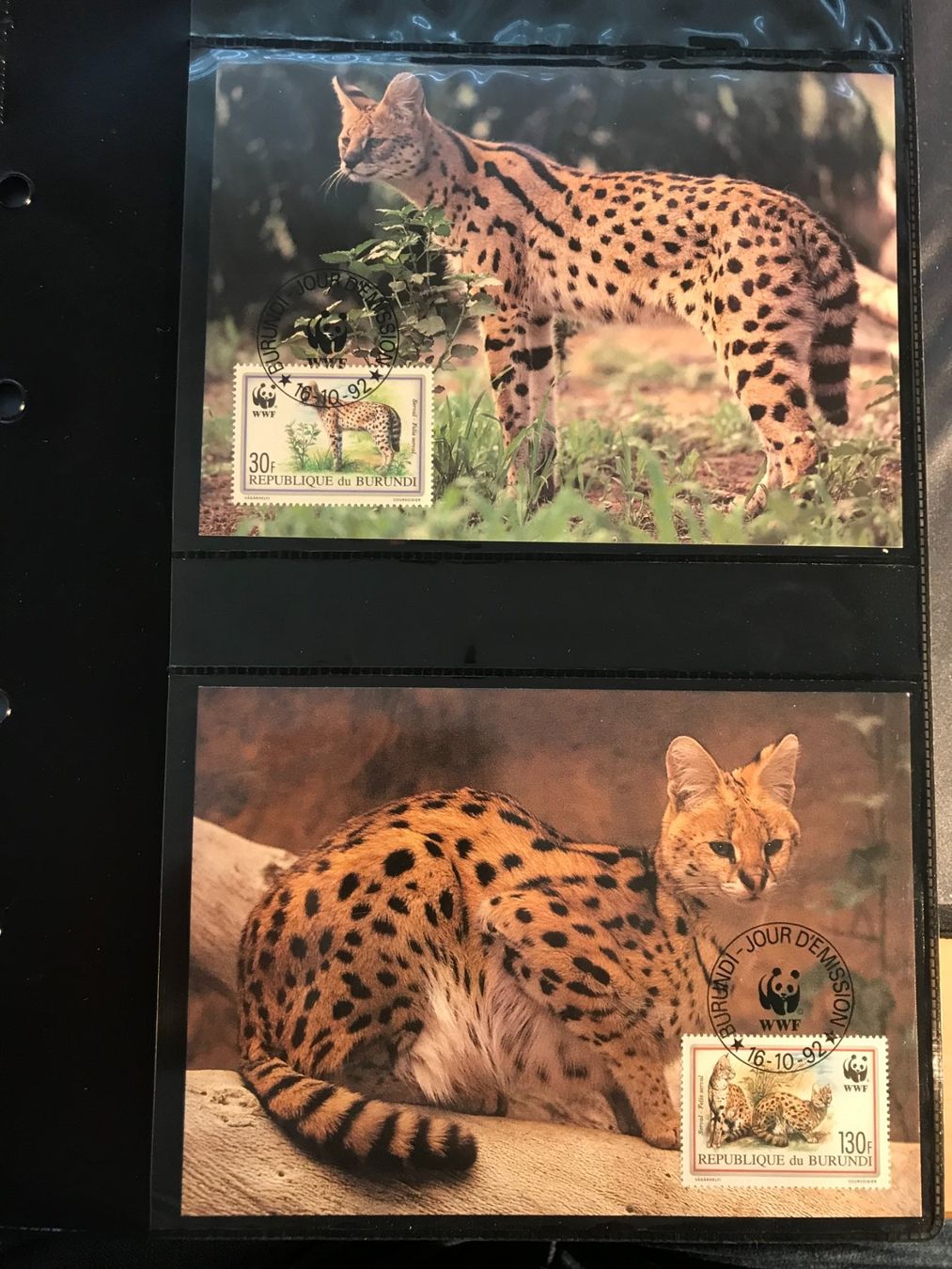 Tutti i francobolli: WWF Burundi 1992 Serval Satz Maximumkarten – Nuovo (secondo la descrizione) da Liestal venduto da schnueps 1