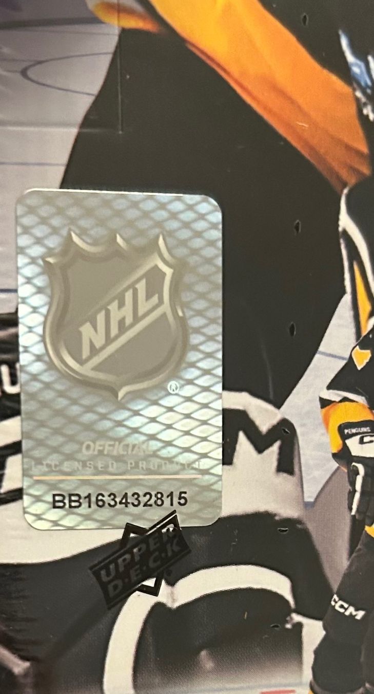 NHL Carte collezionabili: Factory Sealed 24-25 Upper Deck NHL Hobby Box - Celebrini – Nuovo (secondo la descrizione) da Cham venduto da 9inches 2