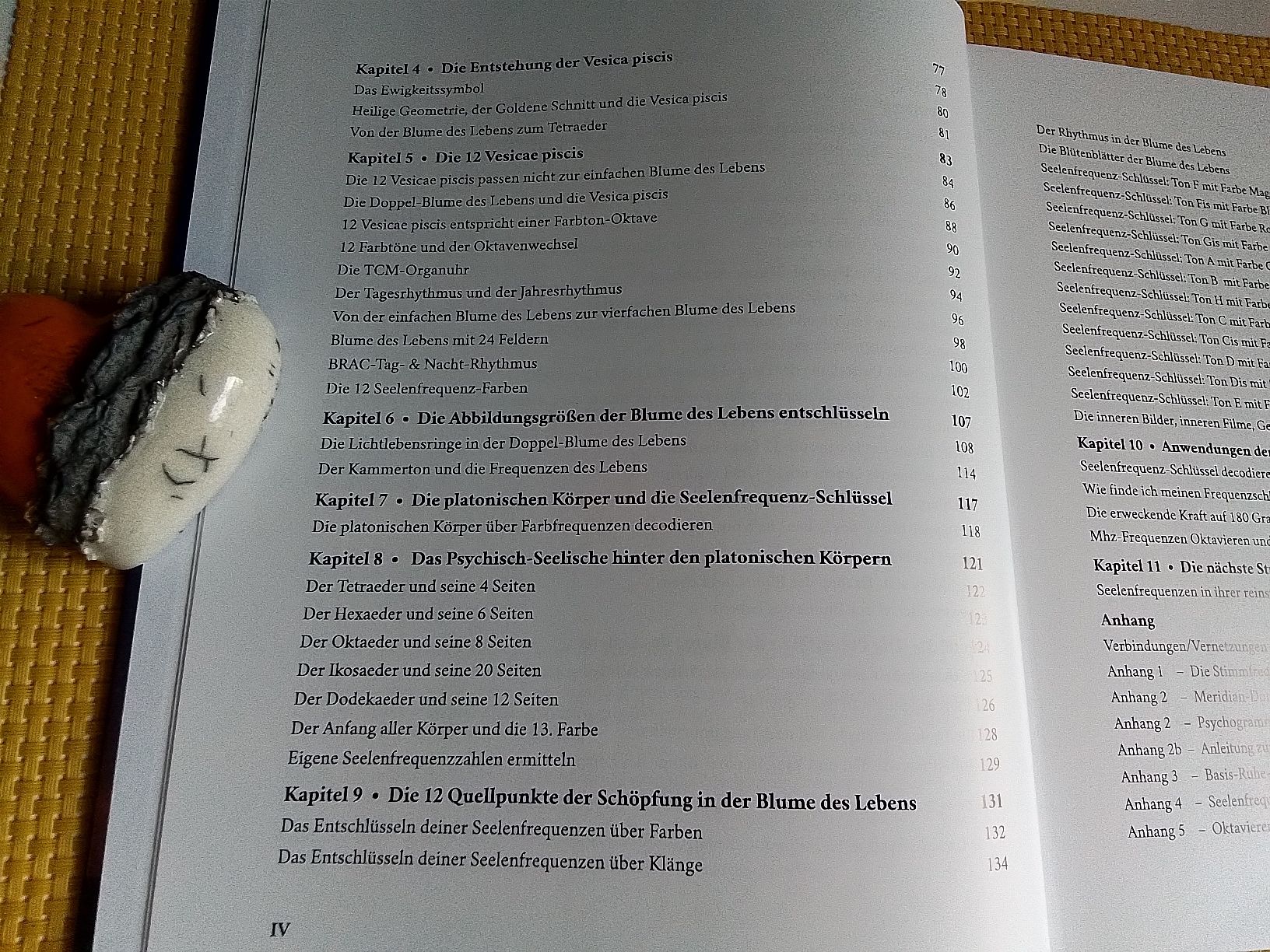 Libri: Die 12 Seelen - Frequenz - Schlüssel – Nuovo e nell'imballaggio originale da Rebstein venduto da Buchsi03 3