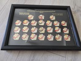 Schweizer Fussball Nationalmannschaft 1994 - Rarität! Pin, s