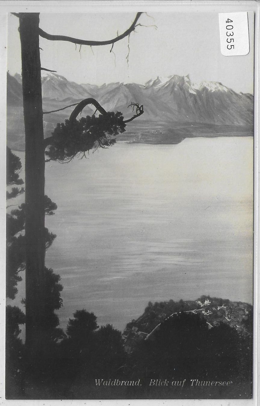 Ansichtskarten: Waldbrand - Blick auf Thunersee – Gebraucht aus Ettingen von Kartenplanet