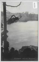 Waldbrand - Blick auf Thunersee