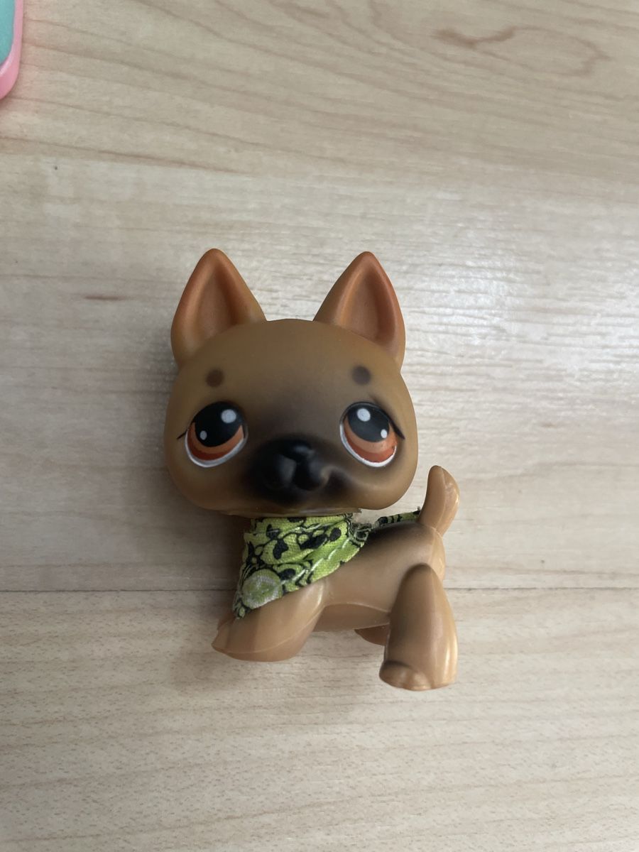 Hasbro Giocattoli: Littlest Pet Shop German Sheppard with Carrier – Usato da Fribourg venduto da tinavon 1