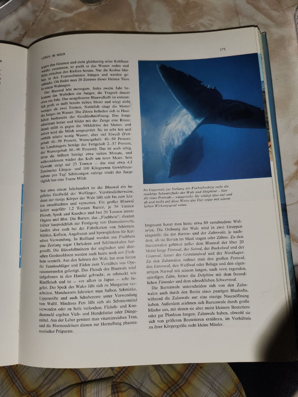 Libri: Das Grosse Reader's Digest Buch Der Ozeane 🌊 – Usato da Herisau venduto da bin_da 7